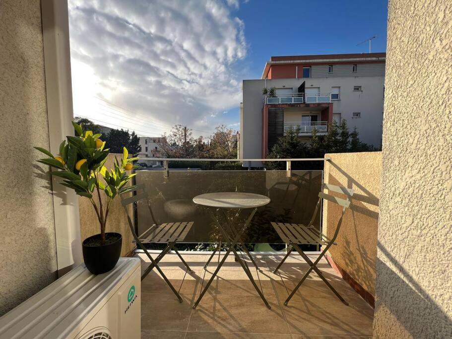 *La Pampa, Studio, Parking, Clim, Hopitaux/Fac* Монпелье Экстерьер фото
