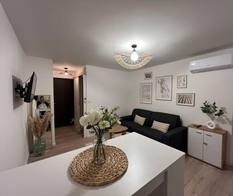 *La Pampa, Studio, Parking, Clim, Hopitaux/Fac* Монпелье Экстерьер фото